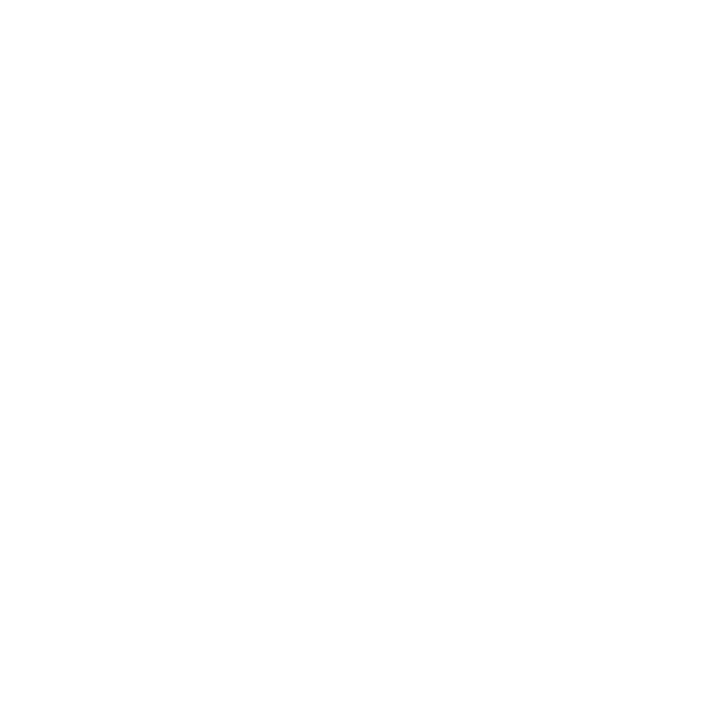 INSITU_LOGO_BLANC_Plan-de-travail-1